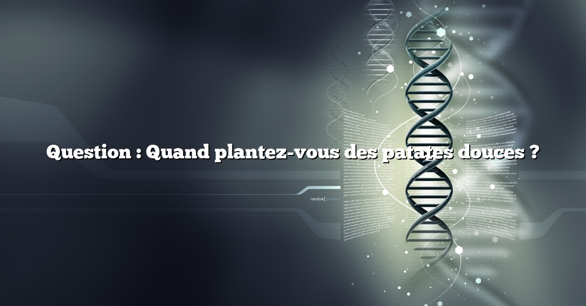 Question : Quand plantez-vous des patates douces ?